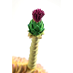 Статуэтка тропический фрукт Pandora Tropical Fruit Orange Two Flowers варинант исполнения - 4 | Loft Concept в Краснодаре