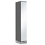 Шкаф-пенал с зеркальной дверцей и фасадом цвета графит Strict Lines варинант исполнения - 2 | Loft Concept в Краснодаре