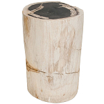 Стул из окаменелого дерева Petrified Wood варинант исполнения - 1 | Loft Concept в Краснодаре