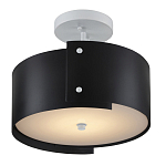 Потолочный светильник круглый светодиодный Semicircular White Panels чёрный варинант исполнения - 2 | Loft Concept в Краснодаре