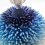 Статуэтка Синий тропический фрукт Tropical Fruit Pandora 4 варинант исполнения - 1 | Loft Concept в Краснодаре