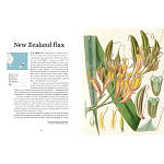 Прекрасно иллюстрированная книга более 100 ботанических произведений Plant Hunters Atlas варинант исполнения - 3 | Loft Concept в Краснодаре