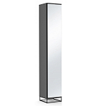 Шкаф-пенал с зеркальной дверцей и фасадом цвета графит Strict Lines варинант исполнения - 1 | Loft Concept в Краснодаре