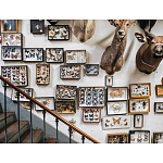 Книга Extraordinary Collections: French Interiors варинант исполнения - 11 | Loft Concept в Краснодаре