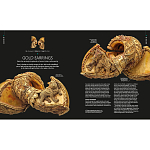 Книга Treasures of India From Antiquity to Modernity варинант исполнения - 3 | Loft Concept в Краснодаре