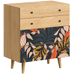 Комод с принтом на ящиках Elise Chest of Drawers варинант исполнения - 2 | Loft Concept в Краснодаре