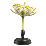 Статуэтка Tilia варинант исполнения - 2 | Loft Concept в Краснодаре