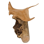 Статуэтка из дерева скат Animals of the World варинант исполнения - 2 | Loft Concept в Краснодаре