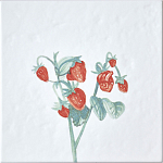 Плитка с узором Земляника варинант исполнения - 2 | Loft Concept в Краснодаре