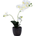 Декоративный искусственное растение Angel Orchid варинант исполнения - 1 | Loft Concept в Краснодаре
