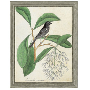 Постер Black Bird & White Flowers