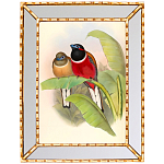 Постер с изображением птиц и цветов в зеркальной раме Blooming Birds Poster варинант исполнения - 6 | Loft Concept в Краснодаре