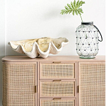 Блюдо декоративное в виде ракушки Seashell варинант исполнения - 1 | Loft Concept в Краснодаре