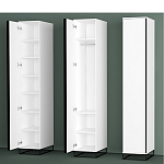 Шкаф-пенал белый с зеркальной дверцей Strict Lines варинант исполнения - 5 | Loft Concept в Краснодаре