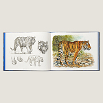 Лимитированная подарочная книга HERMES Fierce and Fragile book, English version варинант исполнения - 2 | Loft Concept в Краснодаре