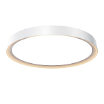 Потолочный светильник Incognito 2700-4000К 46Вт варинант исполнения - 1 | Loft Concept в Краснодаре