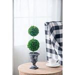 Декоративный искусственное растение Double boxwood варинант исполнения - 5 | Loft Concept в Краснодаре