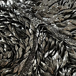 Панно «Чёрный лебедь» варинант исполнения - 3 | Loft Concept в Краснодаре