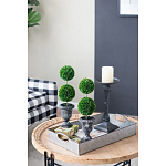 Декоративный искусственное растение Double boxwood варинант исполнения - 8 | Loft Concept в Краснодаре