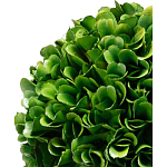 Декоративный искусственное растение Single boxwood варинант исполнения - 2 | Loft Concept в Краснодаре