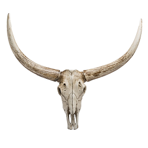 Череп быка Bull Skull