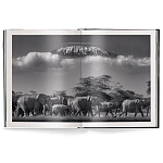 Книга Beusker. Look into my Eyes варинант исполнения - 2 | Loft Concept в Краснодаре