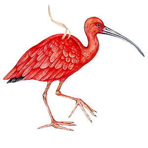 Арт-объект Scarlet Ibis