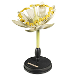 Статуэтка Tilia варинант исполнения - 3 | Loft Concept в Краснодаре