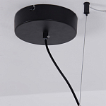 Люстра подвесная светодиодная черный металл Ring Horizontal варинант исполнения - 13 | Loft Concept в Краснодаре