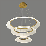 Люстра подвесная с 3-мя кольцевыми светодиодными лампами Catcher варинант исполнения - 1 | Loft Concept в Краснодаре