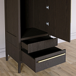 Узкий Шкаф Primo с 2 выдвижными ящиками Темный орех варинант исполнения - 5 | Loft Concept в Краснодаре