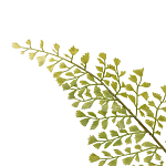 Декоративный искусственное растение Dried flower варинант исполнения - 3 | Loft Concept в Краснодаре