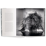 Книга Beusker. Look into my Eyes варинант исполнения - 3 | Loft Concept в Краснодаре