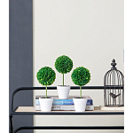 Декоративный искусственное растение Boxwood One варинант исполнения - 9 | Loft Concept в Краснодаре