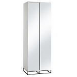 Двухдверный шкаф с зеркальными дверцами Strict Lines варинант исполнения - 5 | Loft Concept в Краснодаре