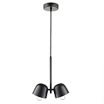 Подвесной светильник черный с 2-мя плафонами Pendant lamp Black варинант исполнения - 1 | Loft Concept в Краснодаре