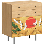 Комод с принтом на ящиках Elise Chest of Drawers варинант исполнения - 4 | Loft Concept в Краснодаре