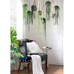 Диван Mesotrope варинант исполнения - 7 | Loft Concept в Краснодаре