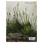 Самая полная история искусства на английском языке  A World History of Art, Revised 7th ed.: Revised 7th Edition варинант исполнения - 2 | Loft Concept в Краснодаре