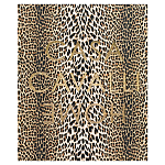 Редкое коллекционное издание Casa Cavalli Home: Celebrating the Roberto Cavalli Lifestyle Леопард варинант исполнения - 1 | Loft Concept в Краснодаре