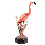Настоящее чучело фламинго Pink Flamingo варинант исполнения - 1 | Loft Concept в Краснодаре