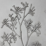 Панно Лесной цветок варинант исполнения - 4 | Loft Concept в Краснодаре