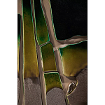 Панно «Амазония» варинант исполнения - 3 | Loft Concept в Краснодаре