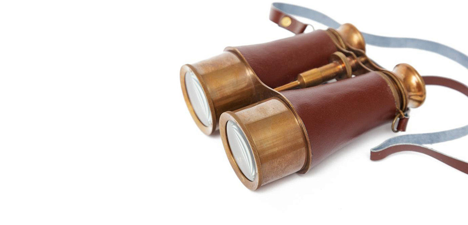 Винтажный бинокль в подарочной коробке Victorian Era Brass Binoculars - Loft-Concept в Краснодаре