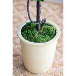 Декоративный искусственное растение Single boxwood варинант исполнения - 6 | Loft Concept в Краснодаре