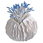 Статуэтка тропический фрукт Tropical Fruit White Blue варинант исполнения - 2 | Loft Concept в Краснодаре