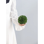 Декоративный искусственное растение Small boxwood варинант исполнения - 3 | Loft Concept в Краснодаре