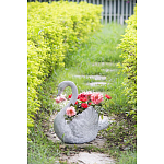 Кашпо The Proud Swan варинант исполнения - 6 | Loft Concept в Краснодаре