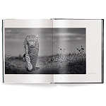 Книга Beusker. Look into my Eyes варинант исполнения - 1 | Loft Concept в Краснодаре