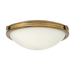 Потолочный светильник цвета латунь с полусферическим матовым белым плафоном Hinkley варинант исполнения - 4 | Loft Concept в Краснодаре